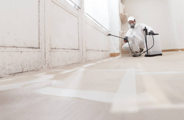 24/7 Emergency Mold Remediation experts in Tuckahoe, VA
