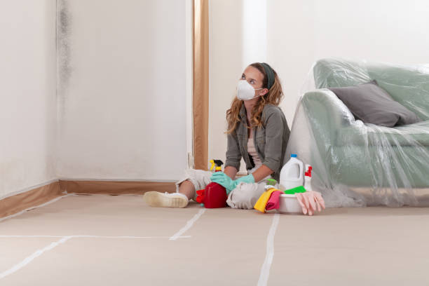 Reliable Mold Remediation contractor in Tuckahoe, VA by 24 Hour Mold Removal