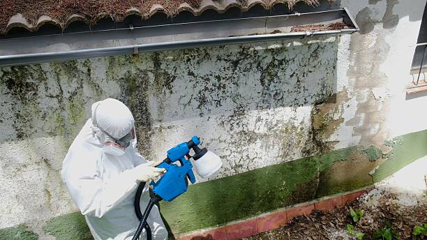 Top rated local Mold Remediation specialists in Tuckahoe, VA